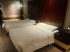 -上海龙之梦万丽酒店