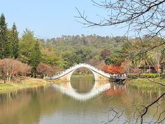 -田野绿世界