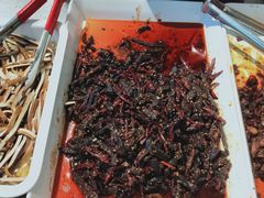 -红星兔丁(东风大桥店)