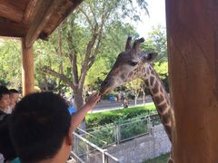 -石家庄市动物园