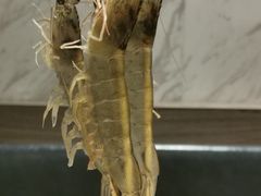 -海上明月海鲜火锅 鲜切牛肉