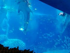 水上餐厅-风致肯麦基(忠信店)