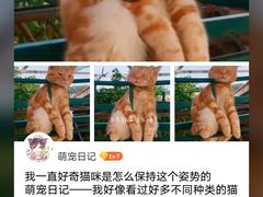 -观象山公园
