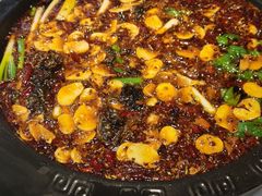 -费明中罗非鱼(大石坝店)
