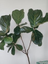 -安吉拉·纤纤玉指美甲美睫创意中心