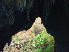 -三门海