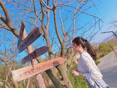 -北马山庄植趣咖啡