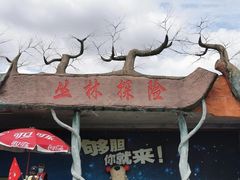 -上海海湾国家森林公园