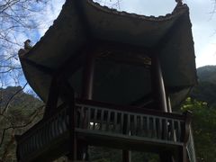 -花岩国家森林公园