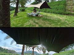 -白石龙音乐公园