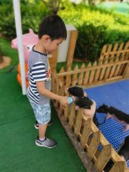 -萌宠亲子动物乐园(槐房万达店)