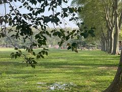 -河南省黄河迎宾馆