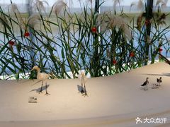 -泗洪县文化艺术中心