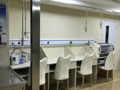 -A猫a狗全科·犬猫异宠·芥西宠物医院(南开总院)