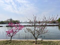 -济南大明湖景区