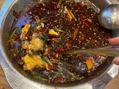 -乡土特色.冷锅鱼.牦牛肉汤锅