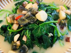 上汤有机菠菜-苏湘杭(普罗旺世店)