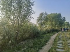 -绿堤公园