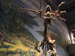 -自贡恐龙博物馆