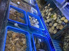 水产区-必点海鲜·鲅鱼水饺(鞍山西道店)
