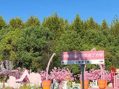 -株洲方特欢乐世界