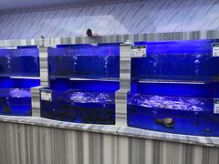 水产区-百姓渔村(朝阳店)