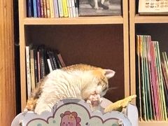 -隅cafe(傅厚岗店)