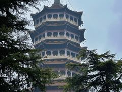 -高旻寺