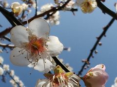 -广州市流溪河国家森林公园