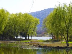 -长广溪湿地公园