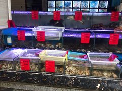 水产区-金海湾海鲜排档(朱家尖店)