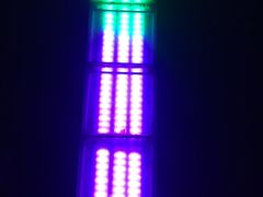 -聚龙湖公园