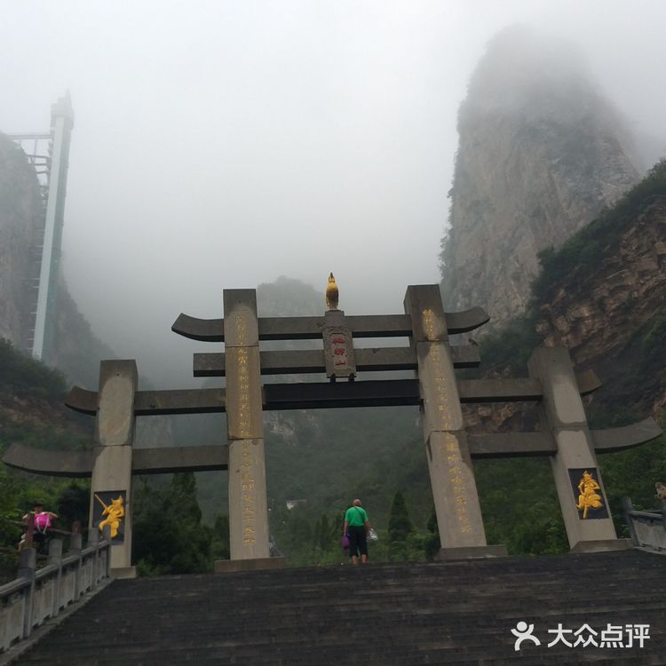 五龙口的猴子太可爱了