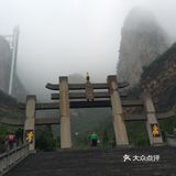 五龙口的猴子太可爱了