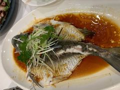 清蒸鲩鱼-顺德人家食府(黄金广场店)