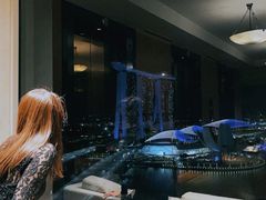 -新加坡丽思卡尔顿美年酒店