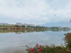 -光明港公园