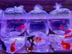 -华声天桥民俗文化园