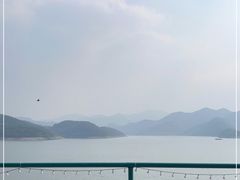 -望湖烤鱼