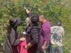 -北宅大永樱桃采摘基地(崂山总部)