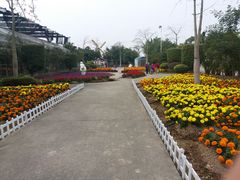 -广东花都香草世界旅游度假区