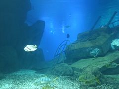 -福州罗源湾海洋世界旅游区