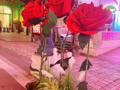 -华谊兄弟（长沙）电影小镇