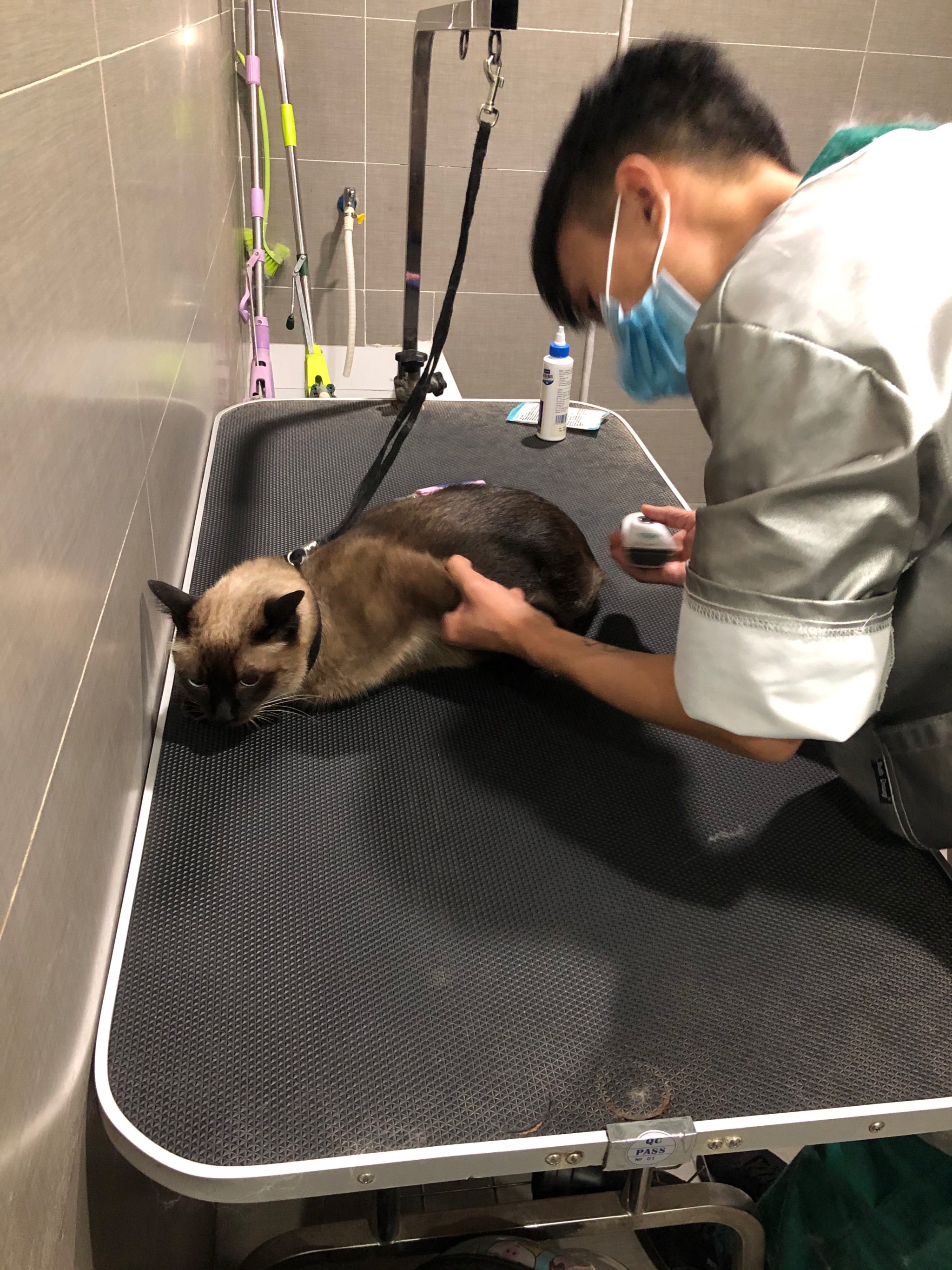 洗澡
打卡农大贝斯特动物医院