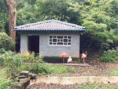-杭州动物园