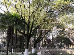 -华东理工大学徐汇校区-图书馆