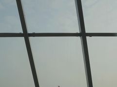-WFC会仙楼观景台