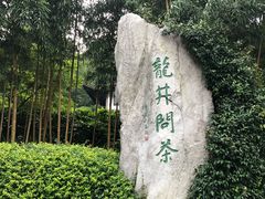 -十八棵（老龙井）御茶园(老龙井店)