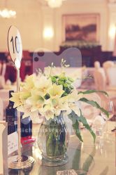 -M'S BANQUET AND SPACE ART