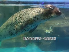 -台州海洋世界